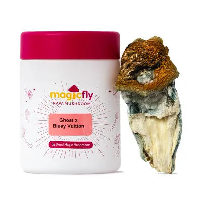 Ghost X Bluey Vuitton Raw Mushrooms 5g Ghost X Bluey Vuitton Raw Mushrooms 5g