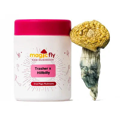 Trasher x Hillbilly Raw Mushrooms 5g