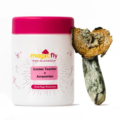 Golden Teacher x Amazonian Raw Mushrooms 5g