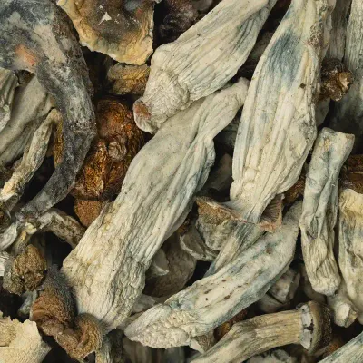 Big Ghost x Amazonian Raw Mushrooms 5g