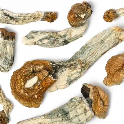 Makilla Gorilla Raw Mushrooms