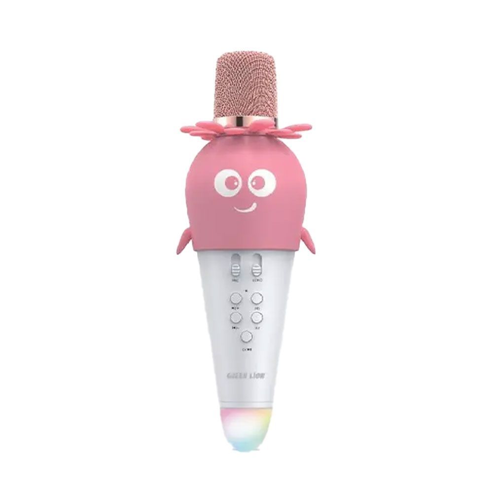 Green Lion Kids Karaoke Microphone