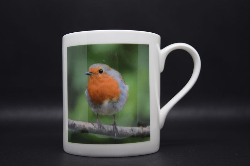 Robin Mug