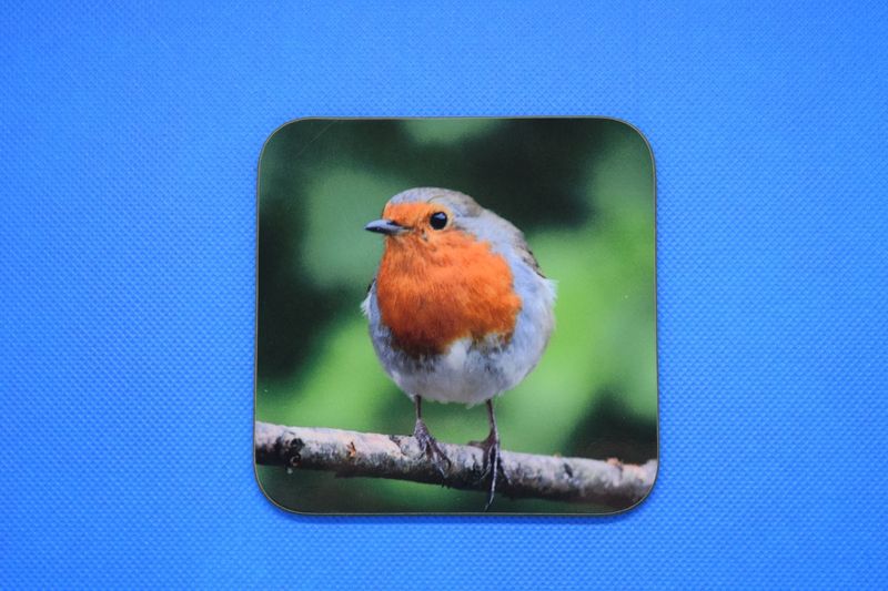 Robin coaster