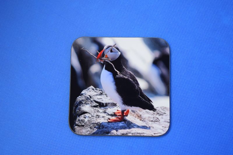 Puffin coaster
