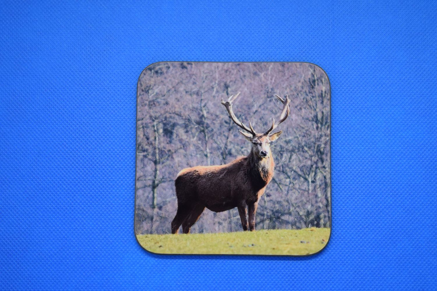 Stag coaster