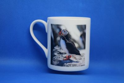 Mugs