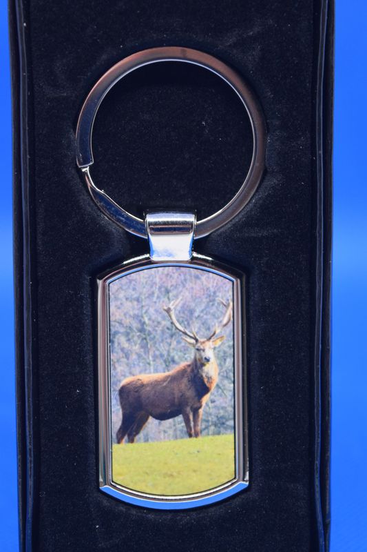 Stag keyring
