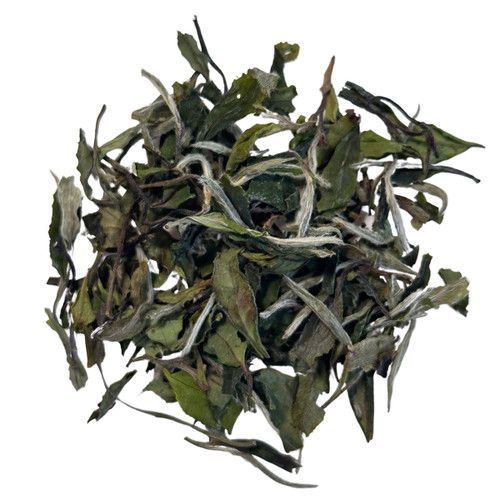 White Peony- Bai Mu Dan