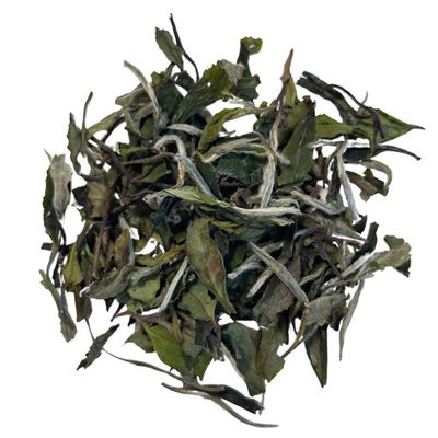 White Peony- Bai Mu Dan