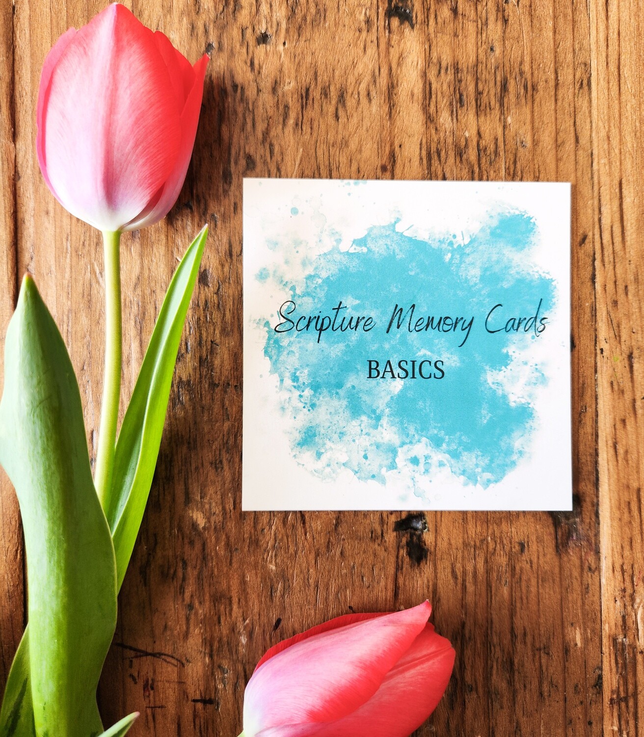 Scripture Cards: The Basics