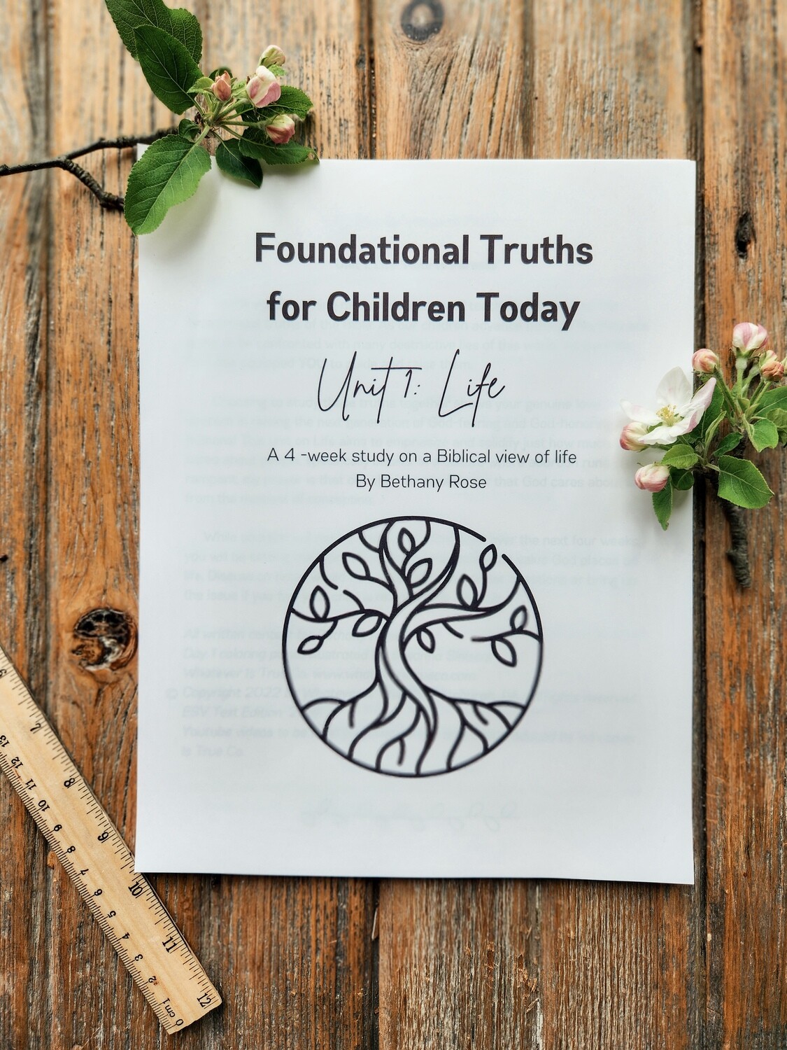 Foundational Truths of Children Today Unit 1: Life Bible curriculum (Digital/PDF)