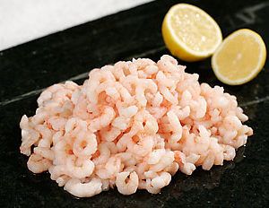 BAY SHRIMP ( 1 LBS )
