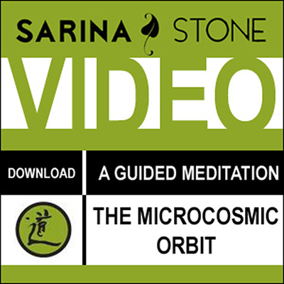 MicroCosmic Orbit QiGong Meditation Instruction Video Download