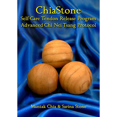 The ChiaStone (DOWNLOAD ONLY)