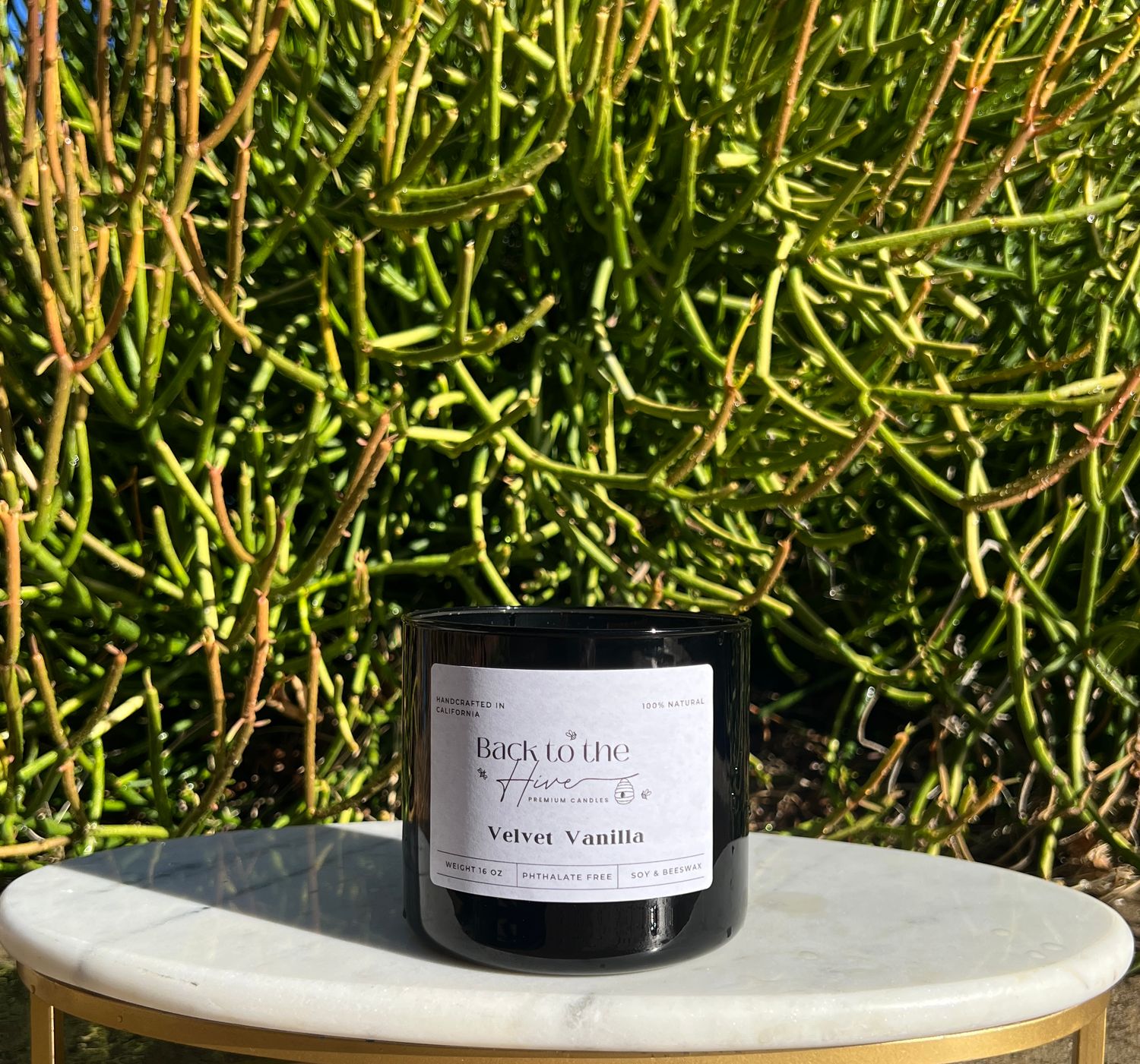 Midnight Glow - 16oz Glass Candle