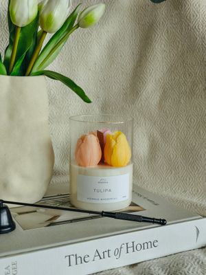 TULIPA
