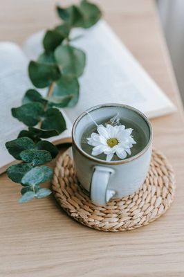 INFUSIONES Y PLANTAS