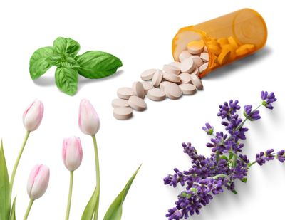 PLANTAS EN COMPRIMIDOS