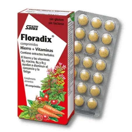 Floradix Hierro + Vitaminas SALUS