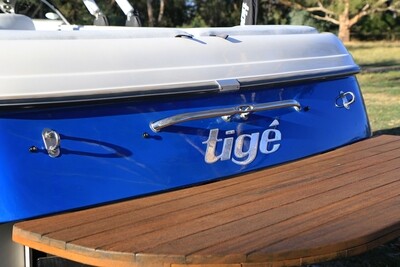 Domed Tige Decal, Choose your Size and Color