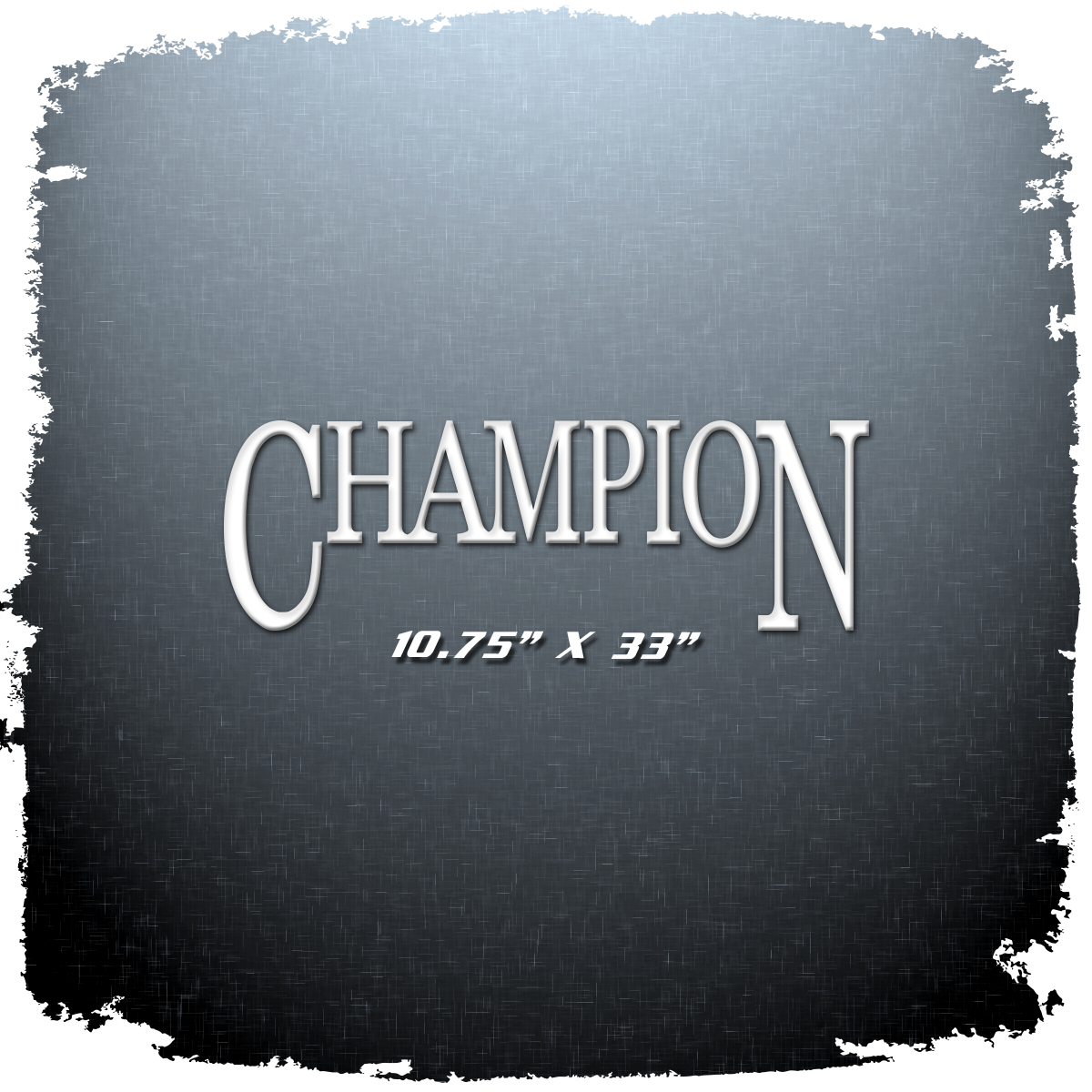 Champion Boats Fish Hunter Decal