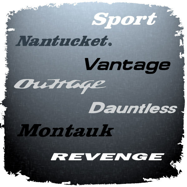 Boston Whaler Model Name Domed Boat Decal