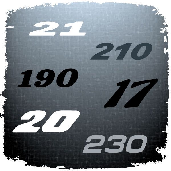 Boston Whaler Model Number Domed Decal