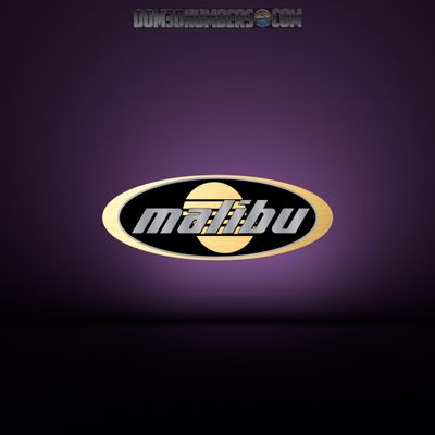 2002-2003 Malibu Dashboard Domed Boat Decal