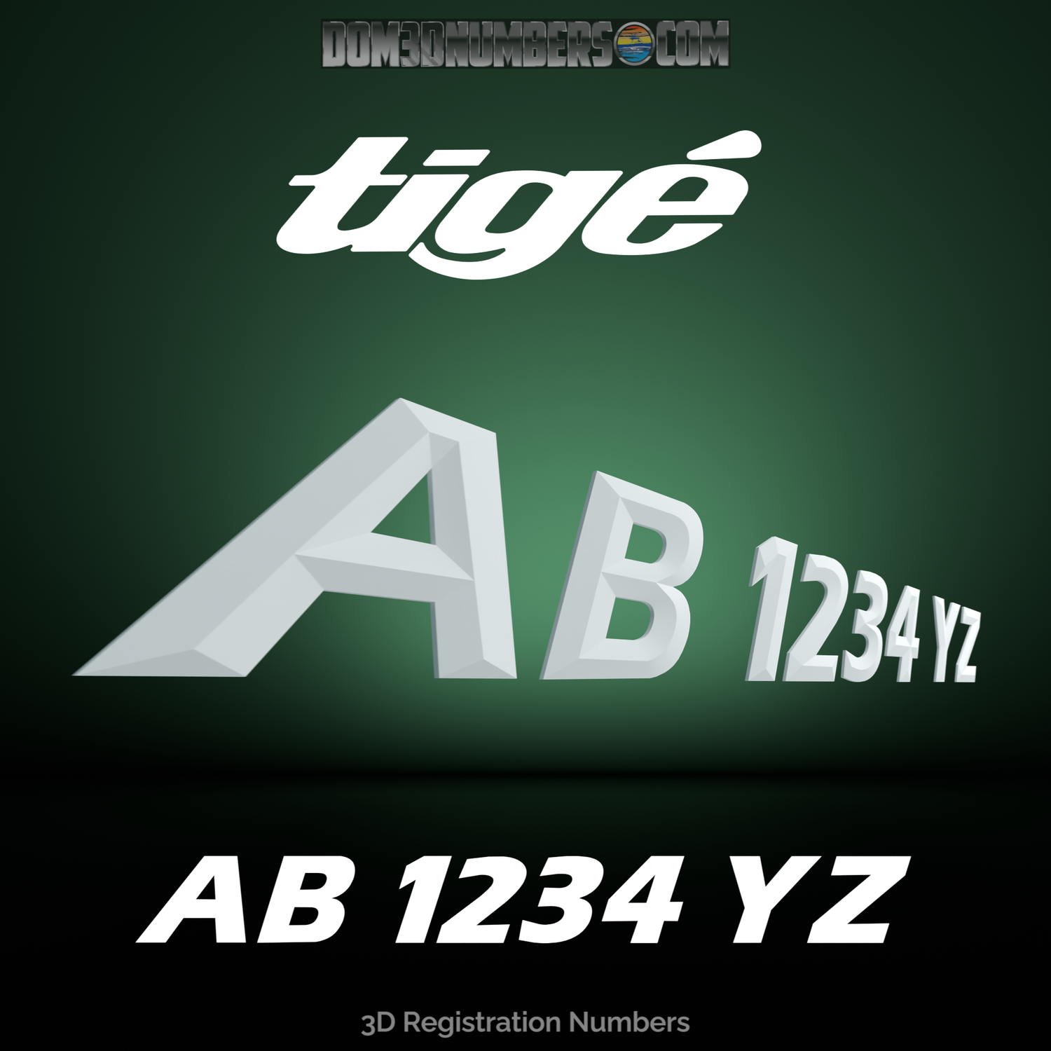 Tige 3D Emblem Matched Registration