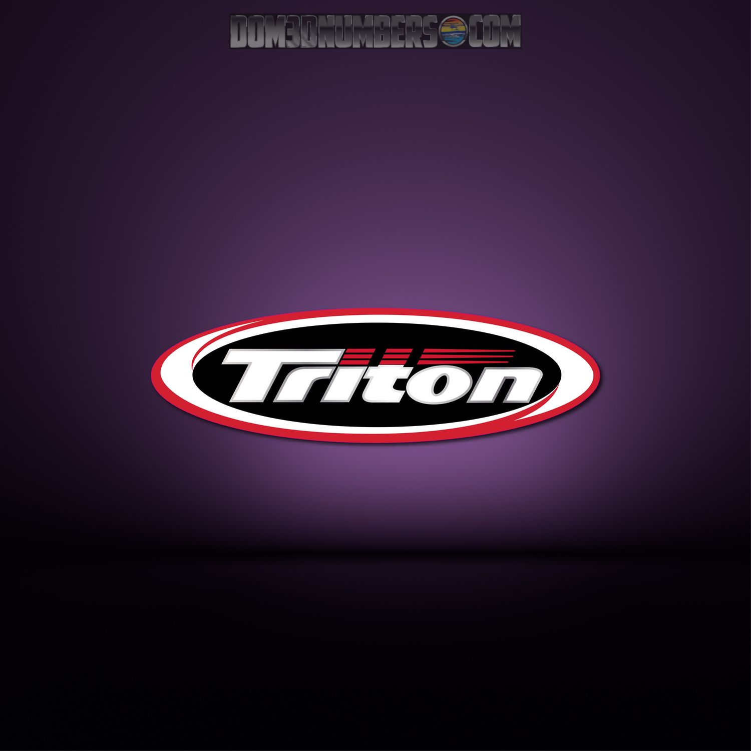 Triton Boats Domed Fender Decal