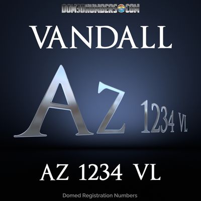 AXIS Vandall Domed Registration