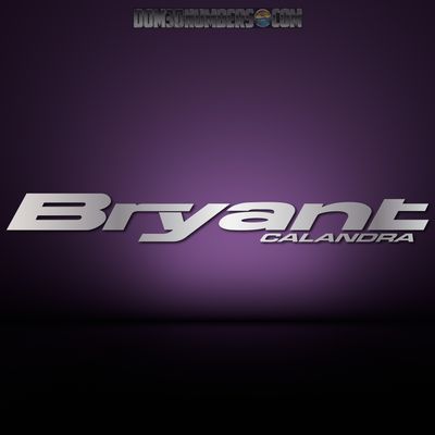 Bryant Boats Domed Decal v2