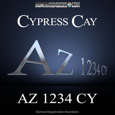 Cypress Cay Domed Registration, Factory Matched Chrome