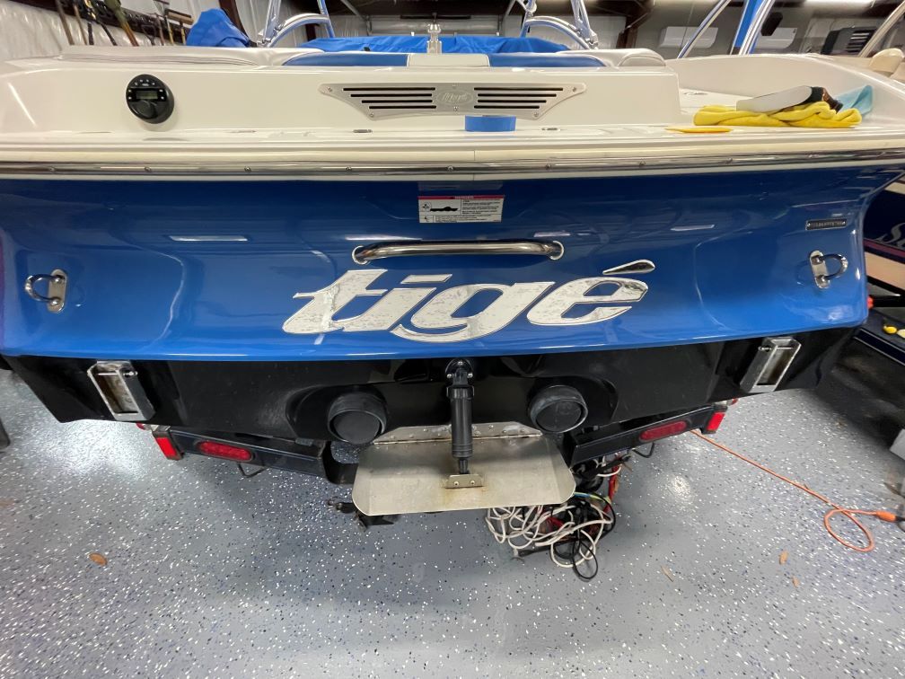 Domed Tige Transom Decal 2006-08, Choose your Color