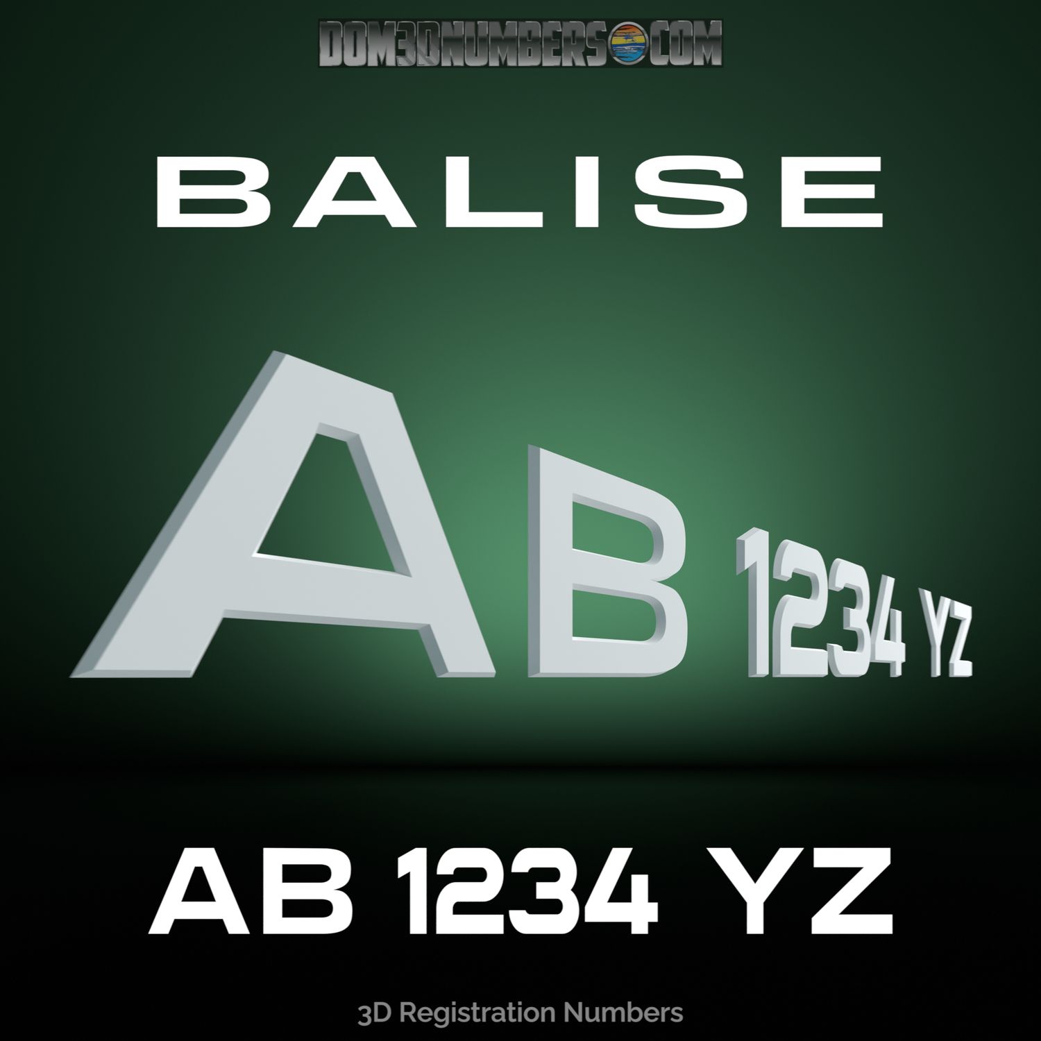 Balise 3D Emblem Registration