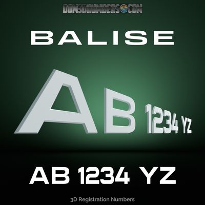 Balise 3D Emblem Registration