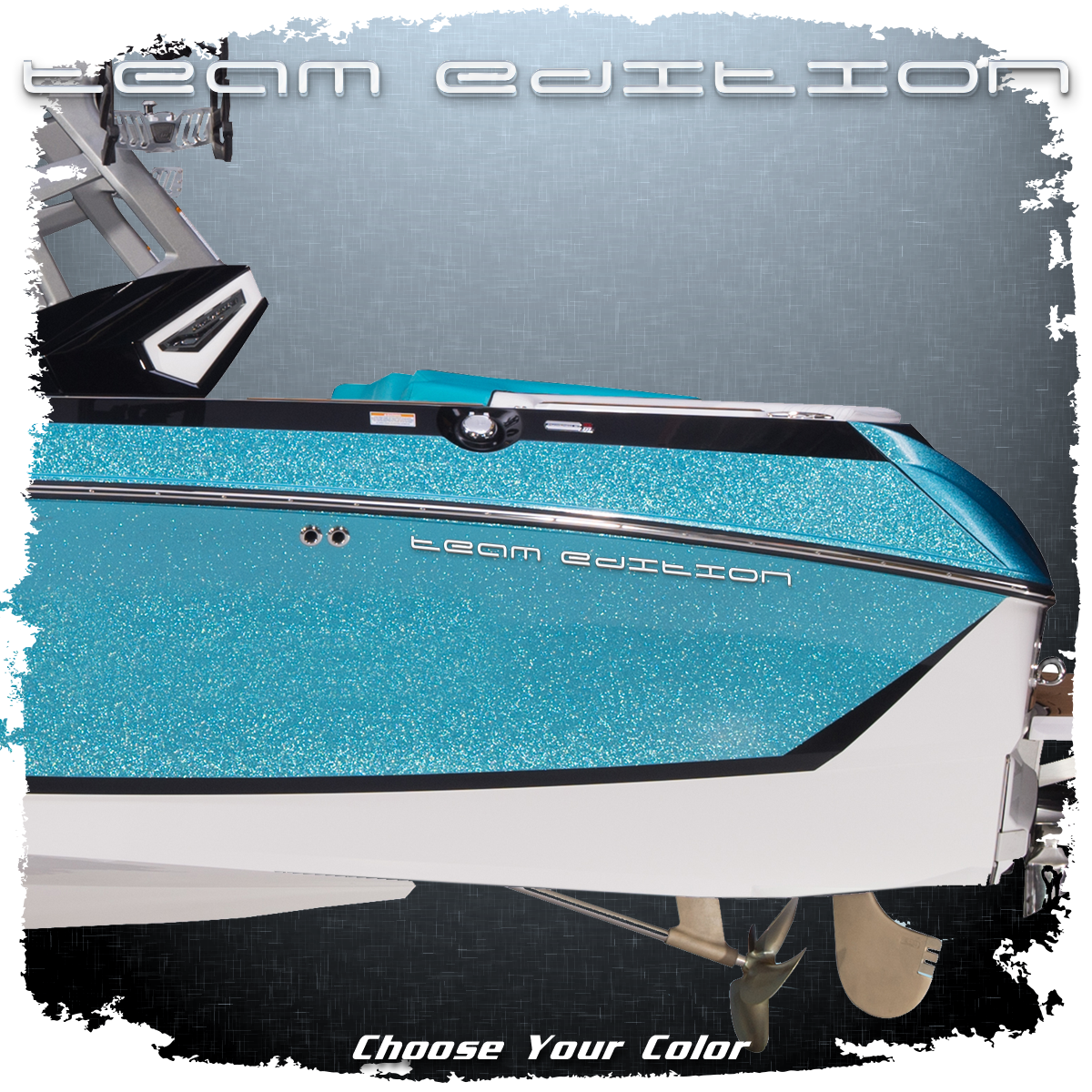 Nautique &quot;Team Edition&quot; Domed Decal