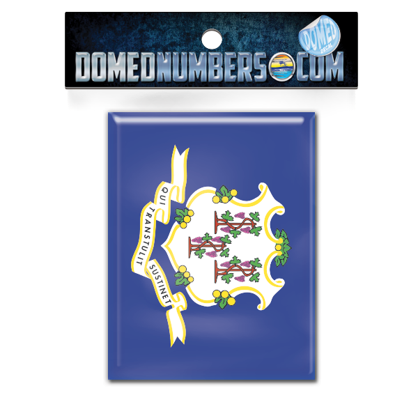 Connecticut Flag Domed Decal, Choose Your Size
