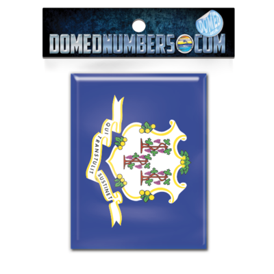 Connecticut Flag Domed Decal, Choose Your Size