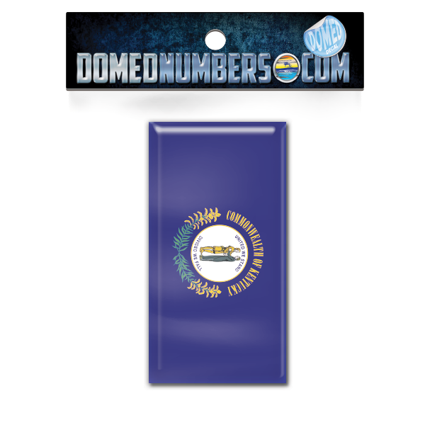 Kentucky Flag Domed Decal, Choose Your Size