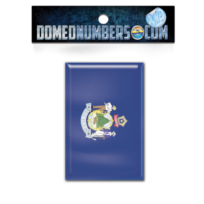 Maine Flag Domed Decal, Choose Your Size