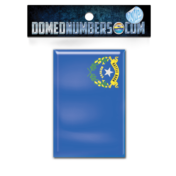 Nevada Flag Domed Decal, Choose Your Size