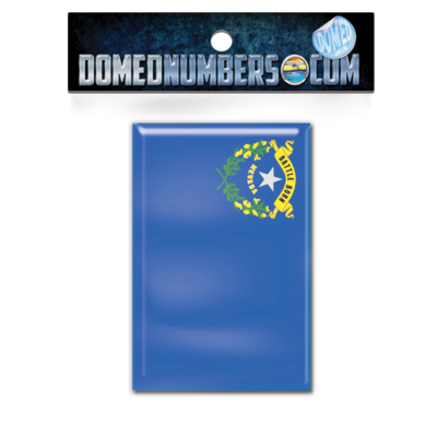 Nevada Flag Domed Decal, Choose Your Size