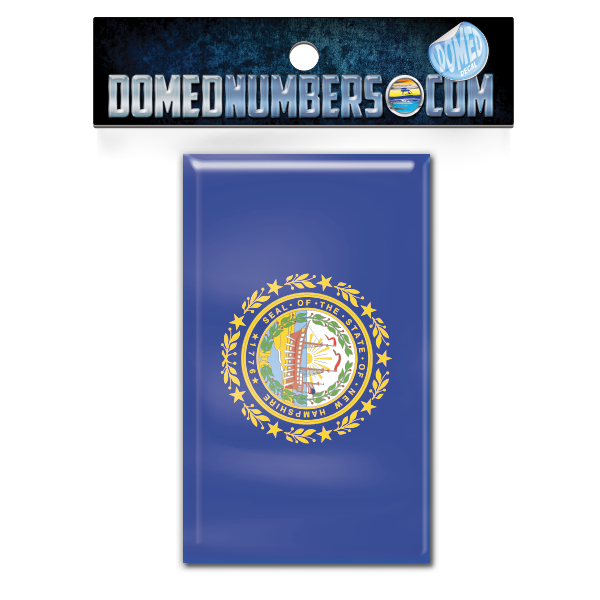 New Hampshire Flag Domed Decal, Choose Your Size