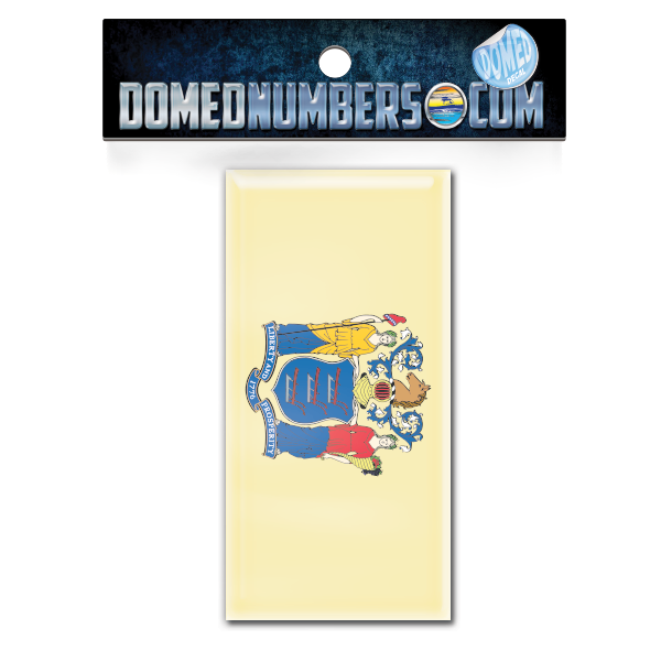 New Jersey Flag Domed Decal, Choose Your Size