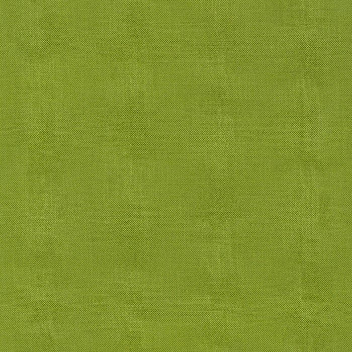 K001-1843 Gecko from Kona Cotton