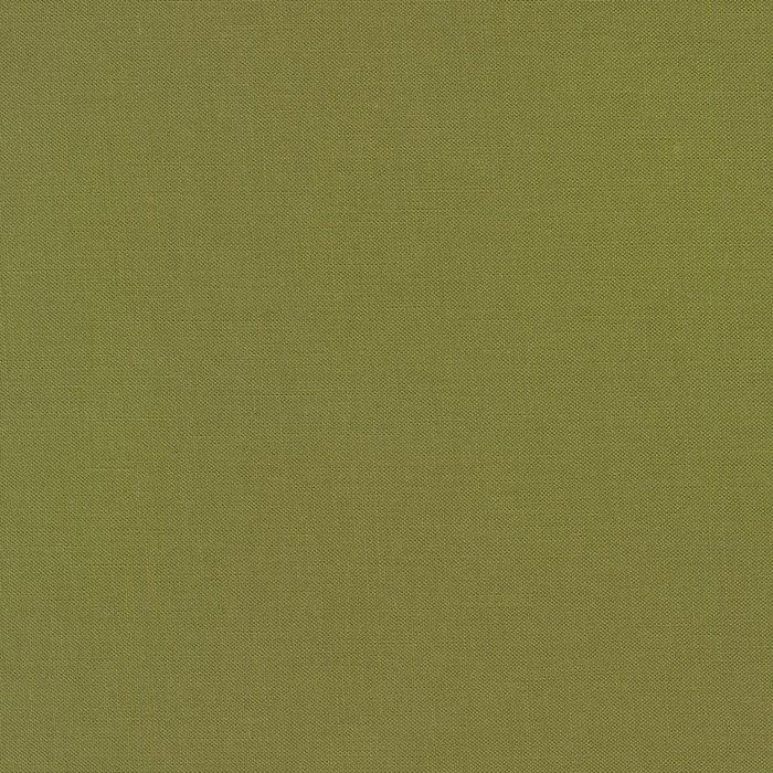 K001-165 Ivy from Kona Cotton