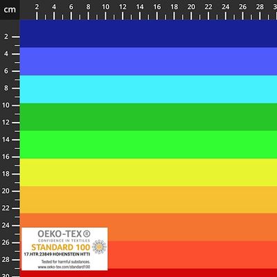 Stof19-928 Avalana Jersey Print Wide Rainbow Stripes