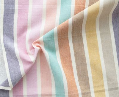 CSW06 Fresh-air Wings Stripes Canyon Springs by Fableism Supply Co